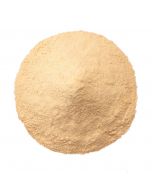 wholesale Onion Powder Premium Toasted 1MM in bulk