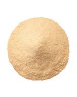 Wholesale Garlic Powder Premium Roasted spices buy online