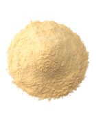 wholesale garlic powder special in bulk